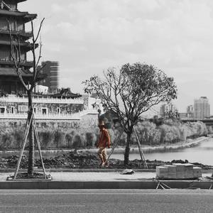 初苞被强开了后怀孕了小说
